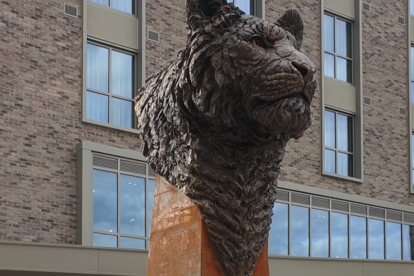 Tigers War Memorial Unveiled